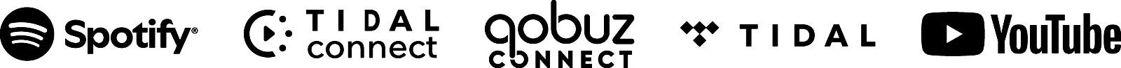 Spotify, TIDAL Connect, Qobuz Connect, TIDAL und YouTube
